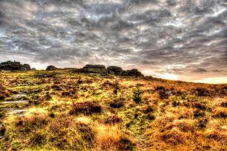 Dartmoor