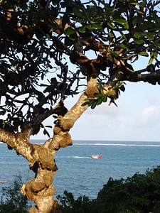 Vacations wave nature