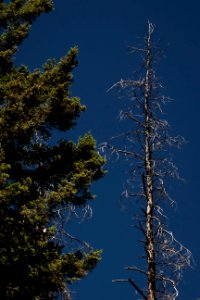 20180712-FS-Beaverhead-PJK-0926