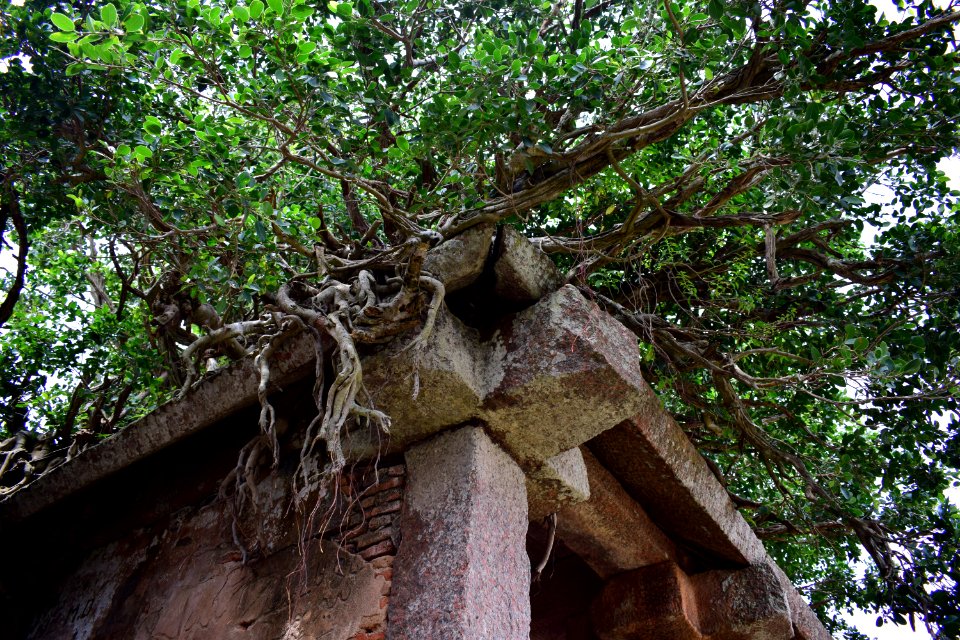 Nijagal hills Karnataka