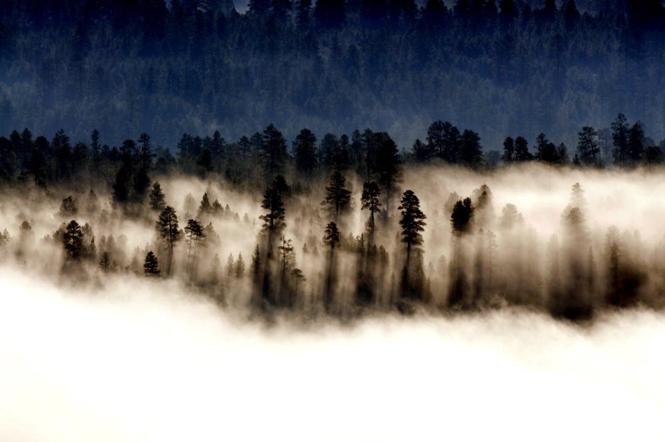 20120801-FS-Coconino-BS-004