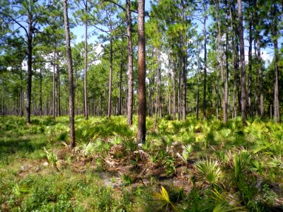 20190408-FS-Osceola-SR-001