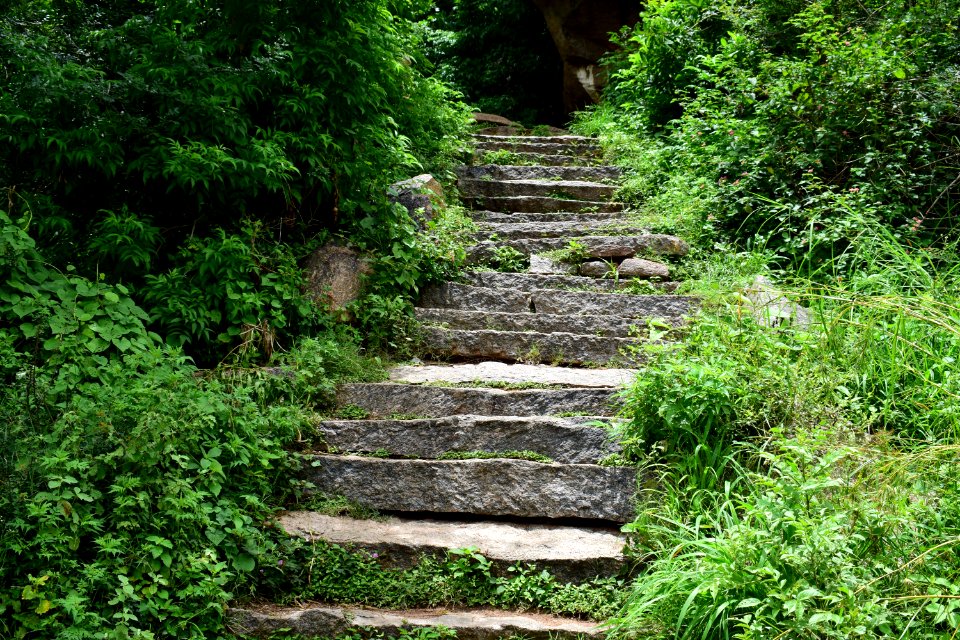Nijagal hills Karnataka