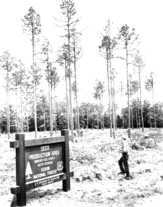 196305XX-FS-Ozark-DT-505693