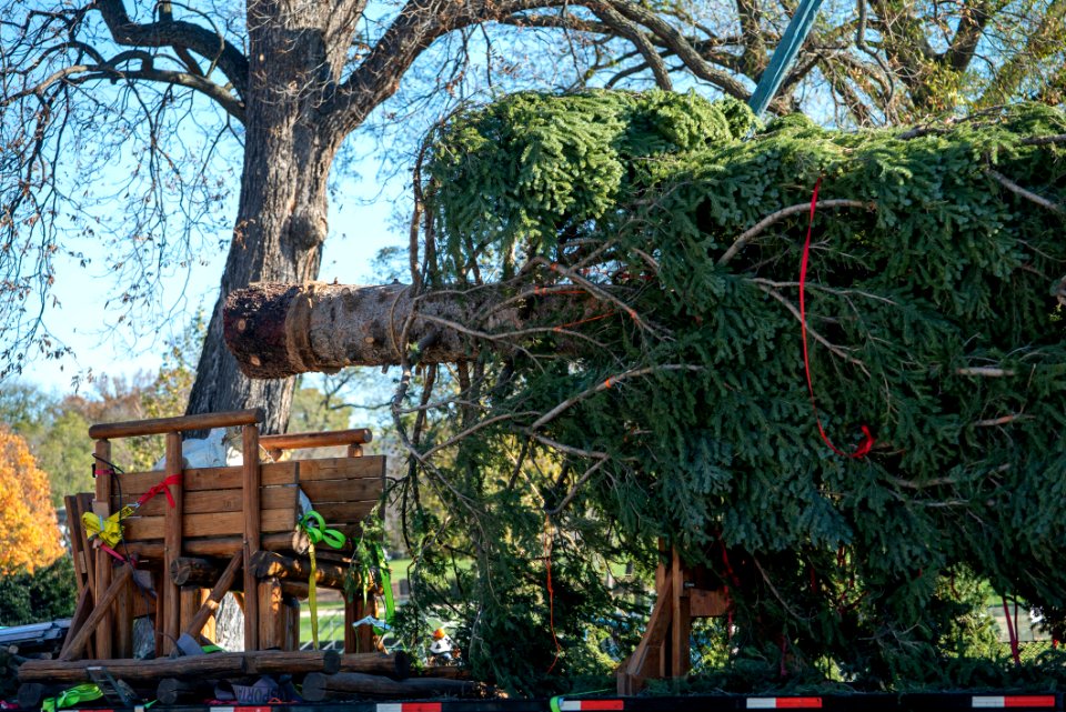 20201120-FS-WashingtonDC-TEF-034