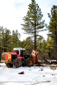 20181204-fs-kaibab-lsc-0441 46424219804 o