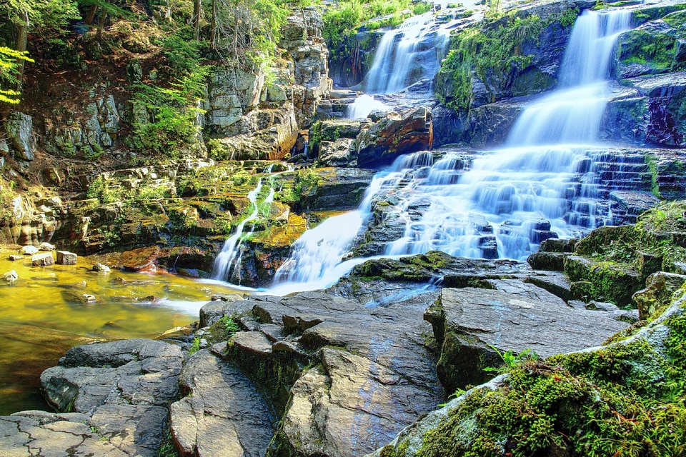 Wilderness outdoors stream