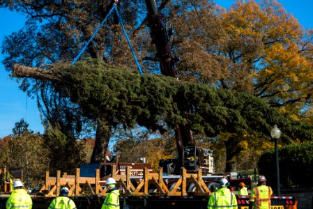 20191125-FS-WashingtonDC-TEF-021