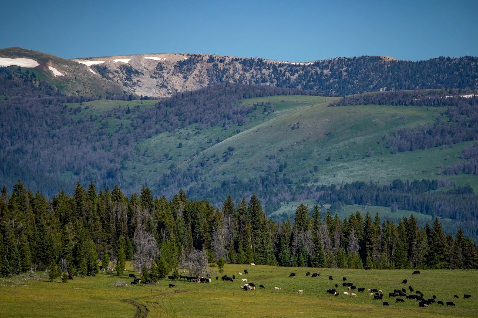 20180710-FS-Beaverhead-PJK-3802