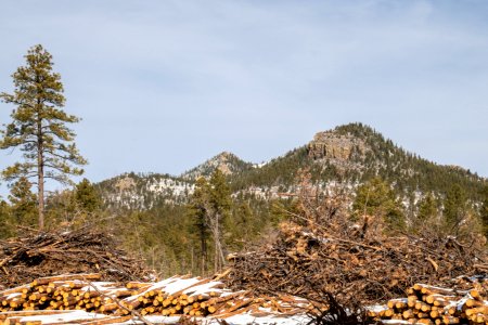 20181204-fs-kaibab-lsc-0044 46424321664 o