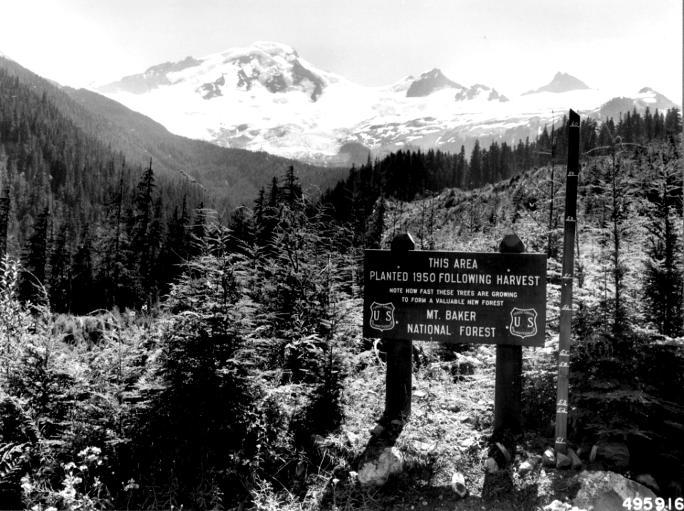 196008XX-FS-Mt. Baker-HRB-495916