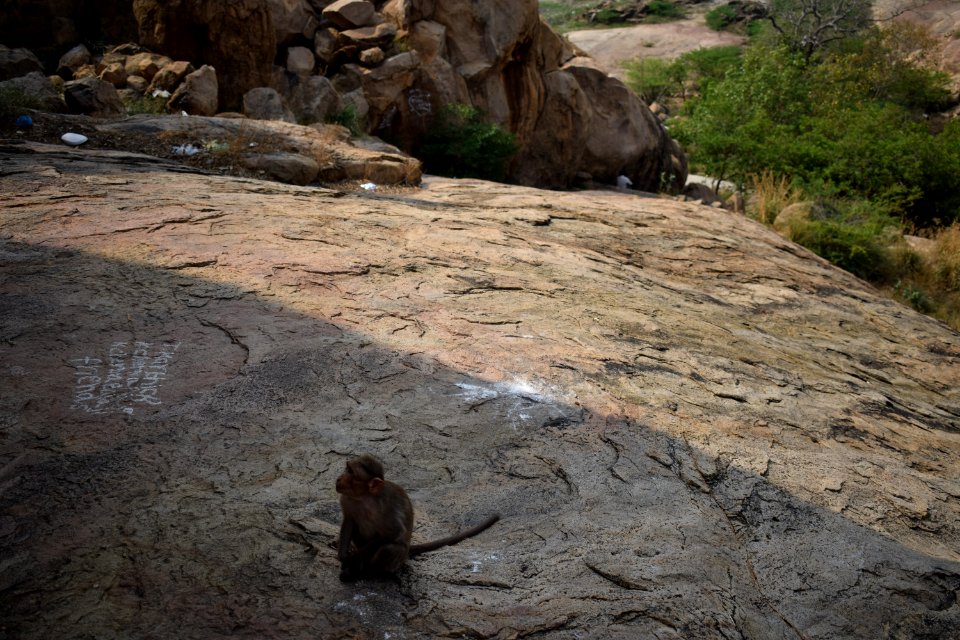Kalugumalai Vettuvan Koil