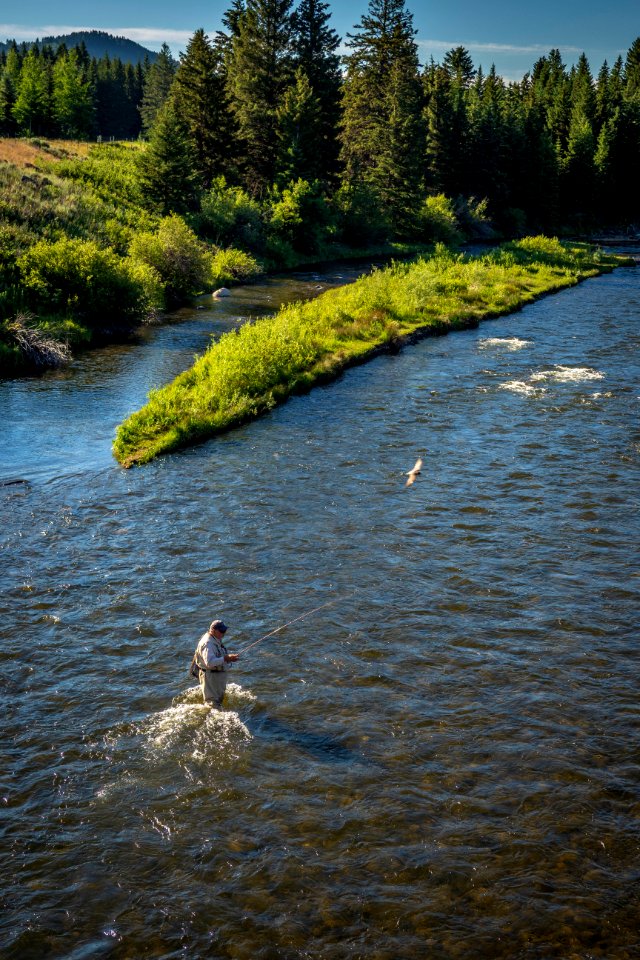 20180711-FS-Beaverhead-PJK-0517