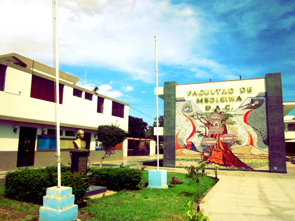 Facultad de Medicina de Ica
