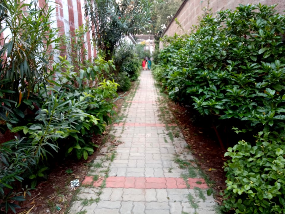 Tenkasi Kashi Vishwanathar temple