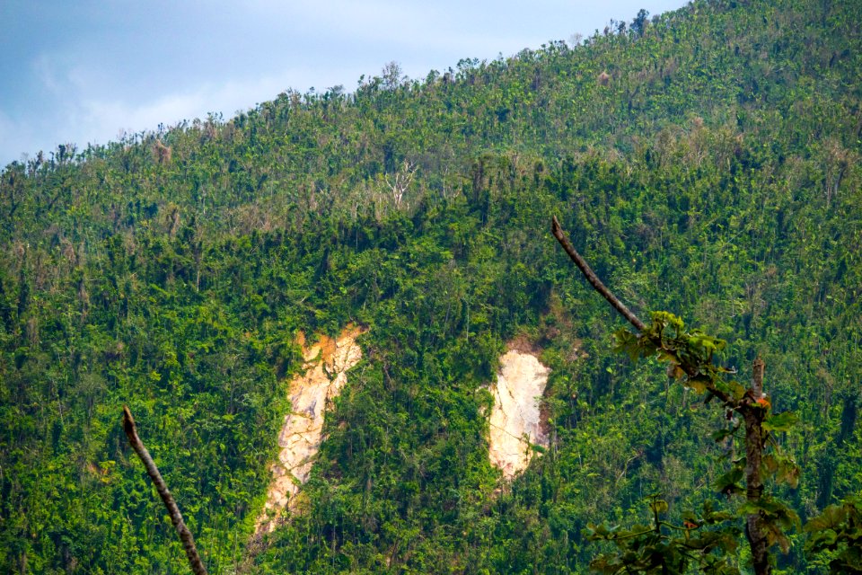 20180322-FS-Yunque-PJK-019