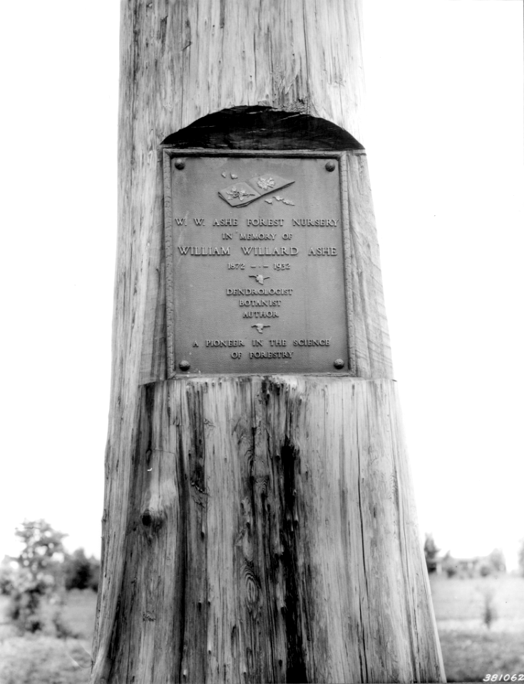 193906XX-FS-Missississppi-WHM-381062