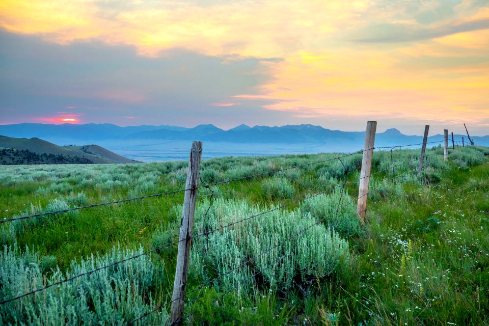 20180710-FS-Beaverhead-PJK-1135