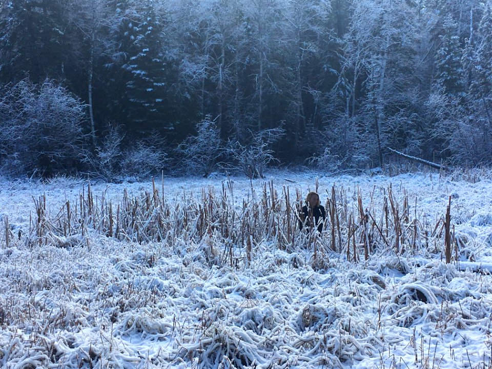 SageinGrass-Flathead-Jan2021-001