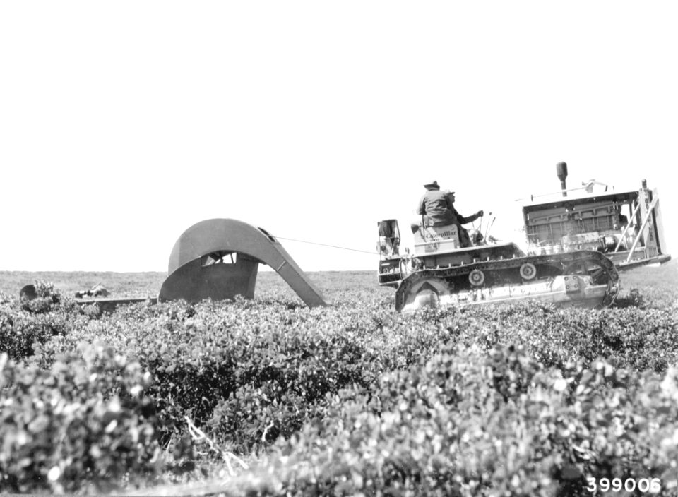 1938XXXX-FS-Shasta-LEB-399006