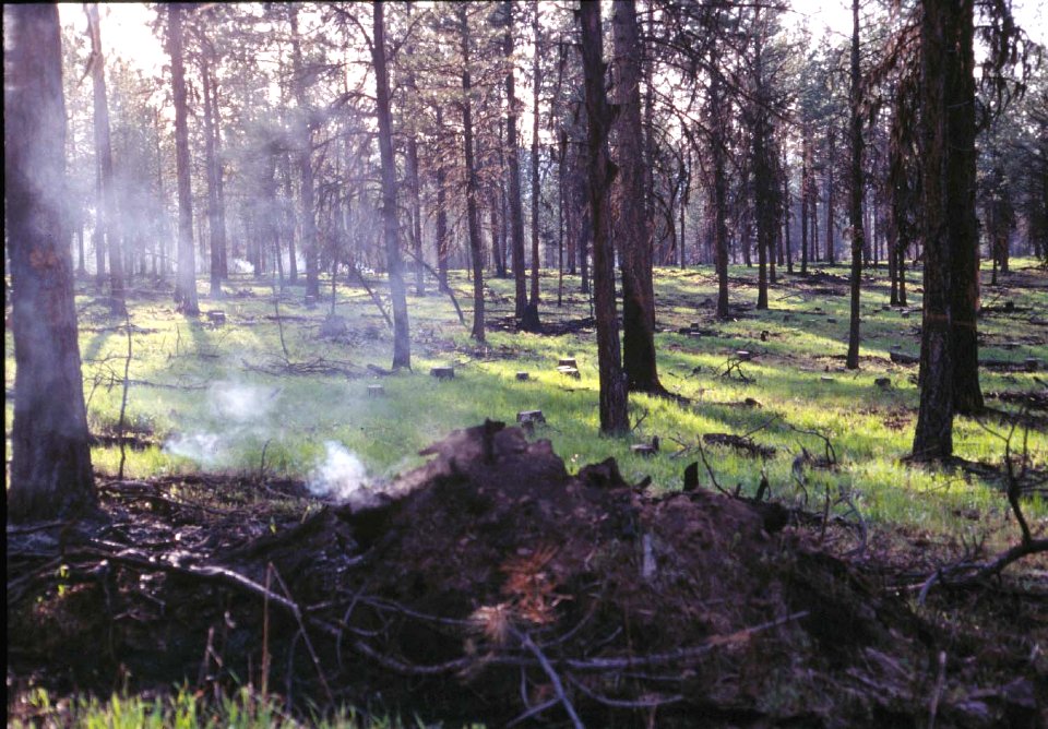 2000XXXX-FS-Oregon-JS-001