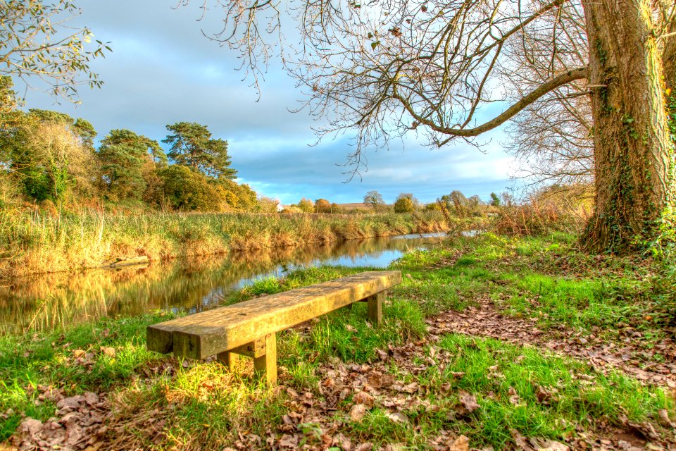 Budleigh Salteron