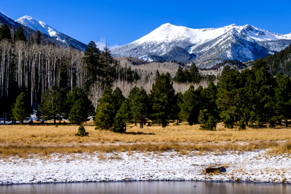 20161122-FS-Coconino-DLS-001