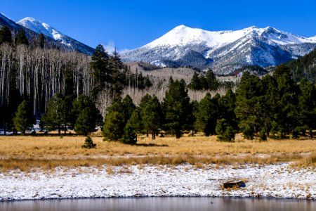 20161122-FS-Coconino-DLS-001