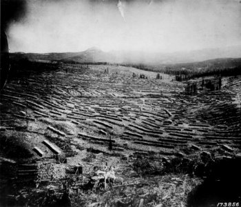 1923XXXX-FS-Deerlodge-KDS-173856