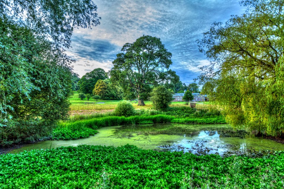 Killerton