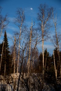 20180226-FS-LSC-0222
