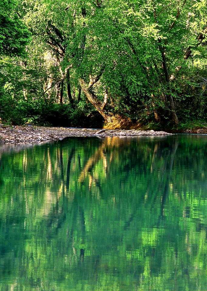 2005XXXX-FS-Ozark-St. Francis National Forest-Mulberry R-TP-004