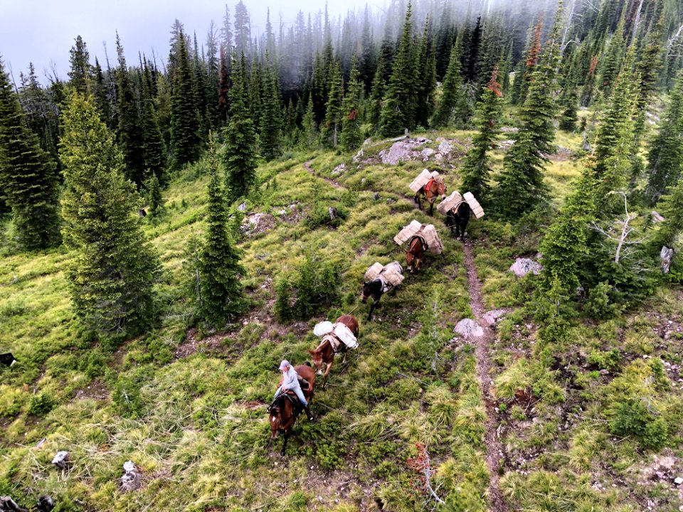 TransportingSupplesBaptisteLookout-Flathead-Dec2020-001