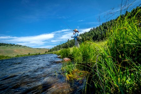 20180710-FS-Beaverhead-PJK-4622