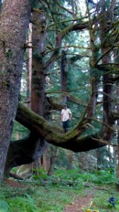 20130802-fs-tongass-packcreek-003 14274901499 o