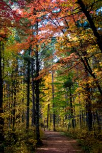 180919-fs-chippewa-norwaybeach-rf-1