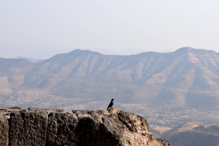 Sinhagad fort Pune Maharashtra