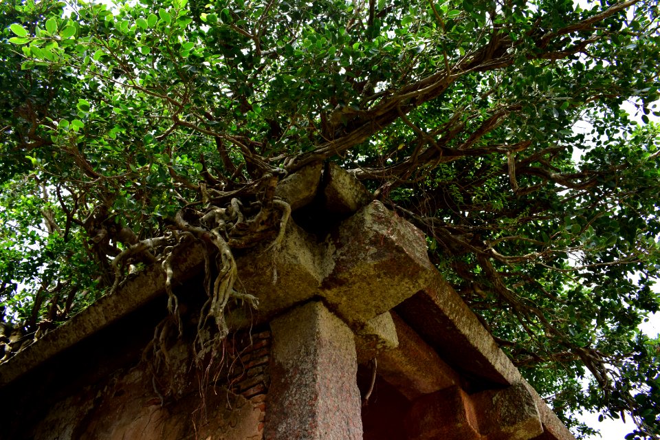 Nijagal hills Karnataka