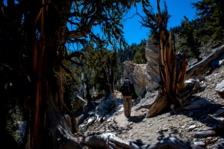 20181019-FS-Inyo-CMR-027