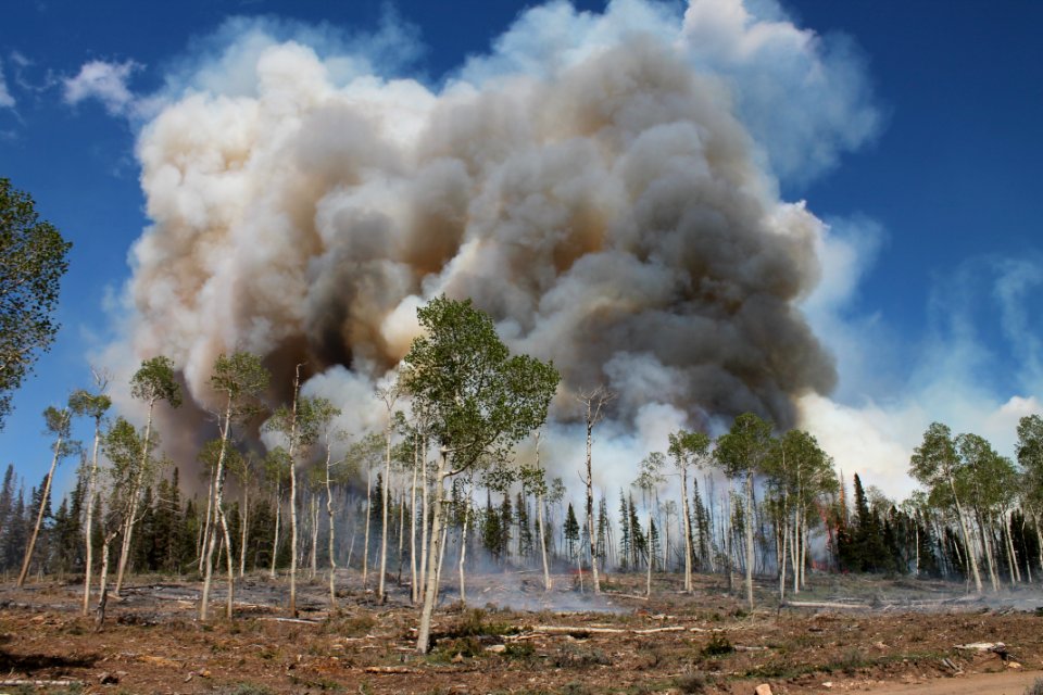 20200417-FS-Fishlake-CMR-012