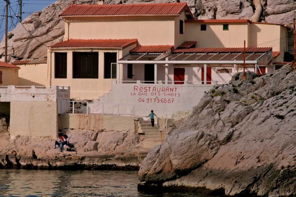 Cap Croisette - La Baie des Singes