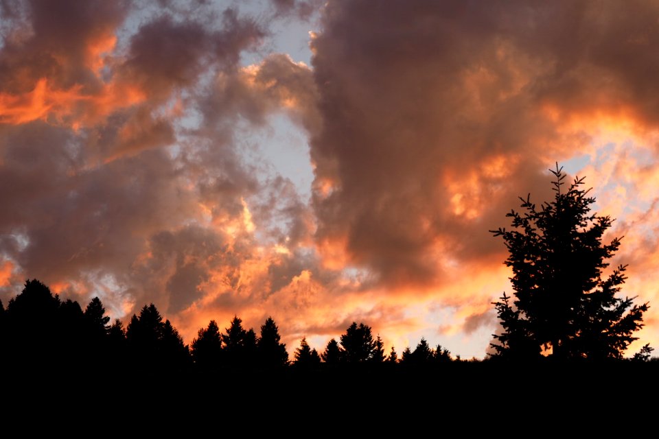 180711-fs-beaverhead-pjk-6453