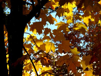 20181009-FS-Superior-SAR-018