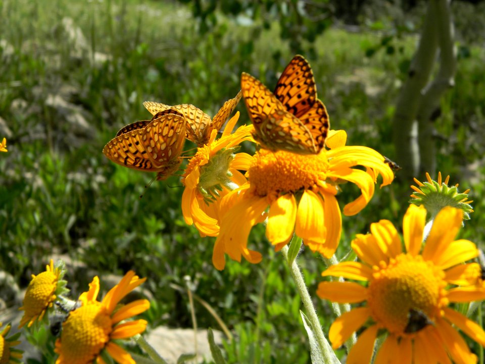 20120624-FS-Manti-HM-001