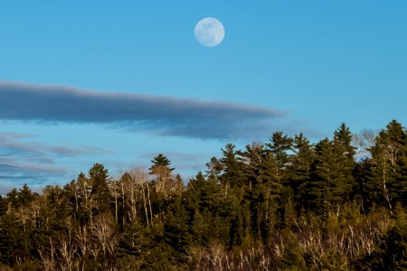20180228-FS-LSC-1886