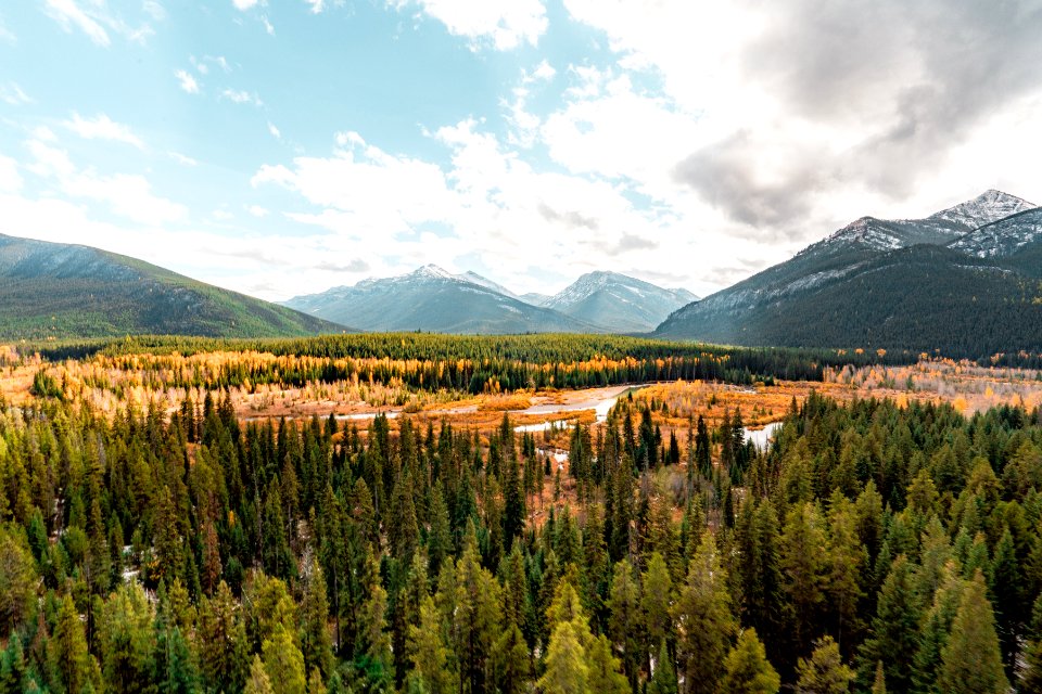 20190329-FS-FlatheadNF-YFYF-035