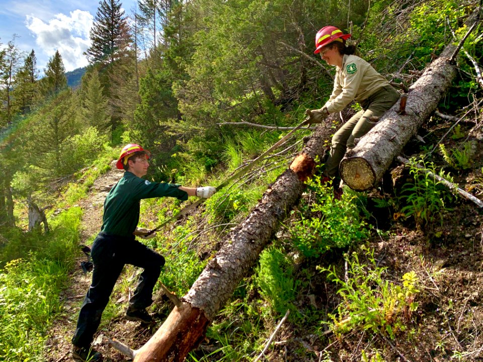 ForestServiceMembersClearTrail-Flathead-Jun2020-001