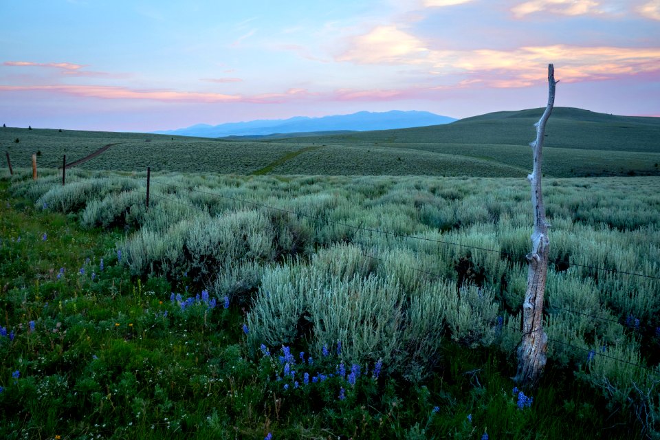 20180710-FS-Beaverhead-PJK-1182