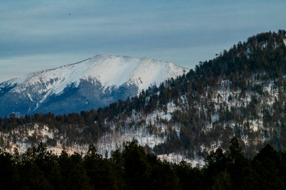 20181204-fs-kaibab-lsc-1049 47095355682 o