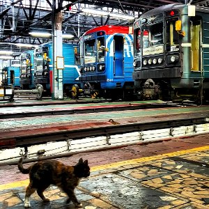 metro trains 81-717/714.5 m in a depot of the Northern